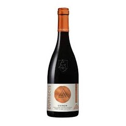 CHINON D.VIGNERONS 2022(Pcb6)