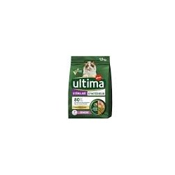 1KG5 ULTIMA CHAT...