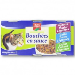 L3 1X2BOUCH.CHAT GIBIE.BF