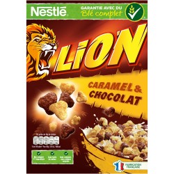 CEREALE LION 22X480G