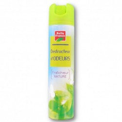 AERO DESTR.ODEUR 300ML BF