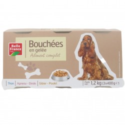 L3 1X2BOUCH.CHIEN AGN.BF(Pcb8)